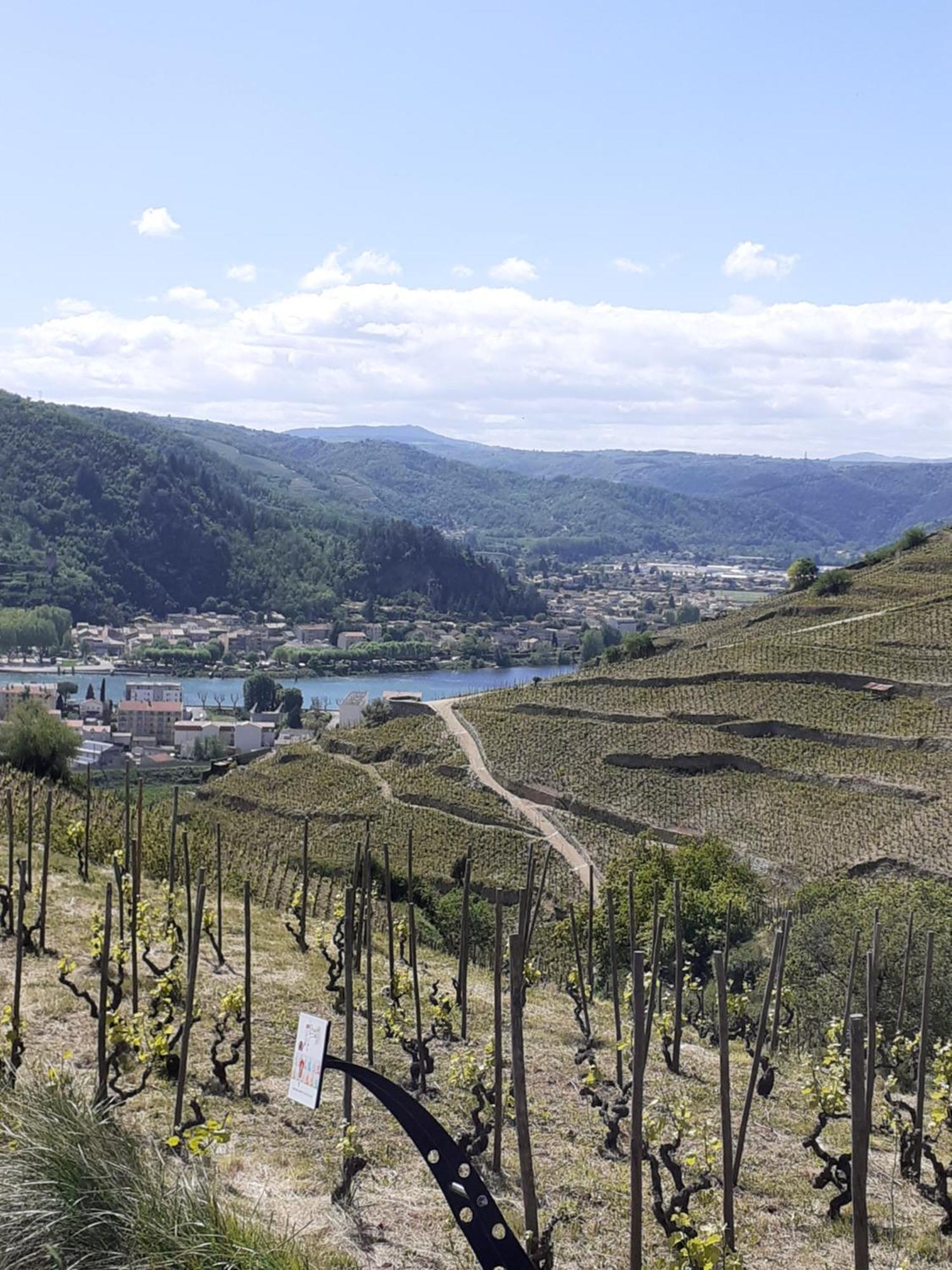 Gite Du Vigneron A La Terrasse Piscine Local Velos Tournon-sur-Rhone Exterior foto